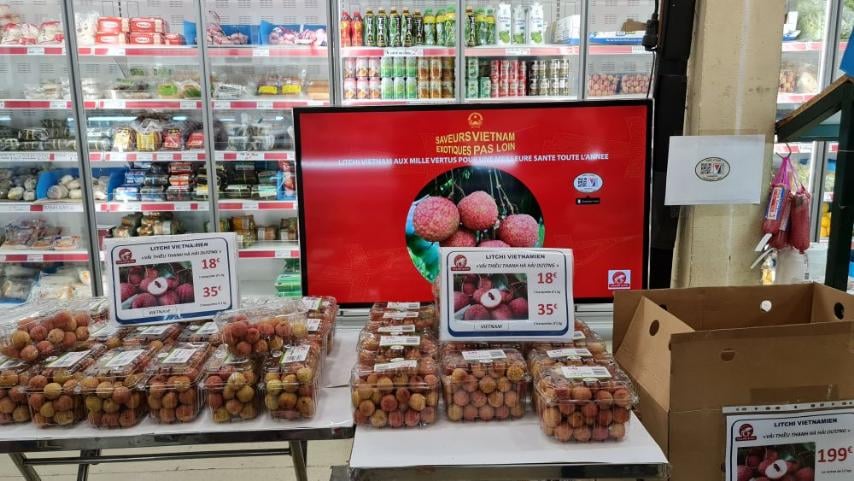 Rộng đường cho vải thiều Việt Nam xuất khẩu sang Pháp